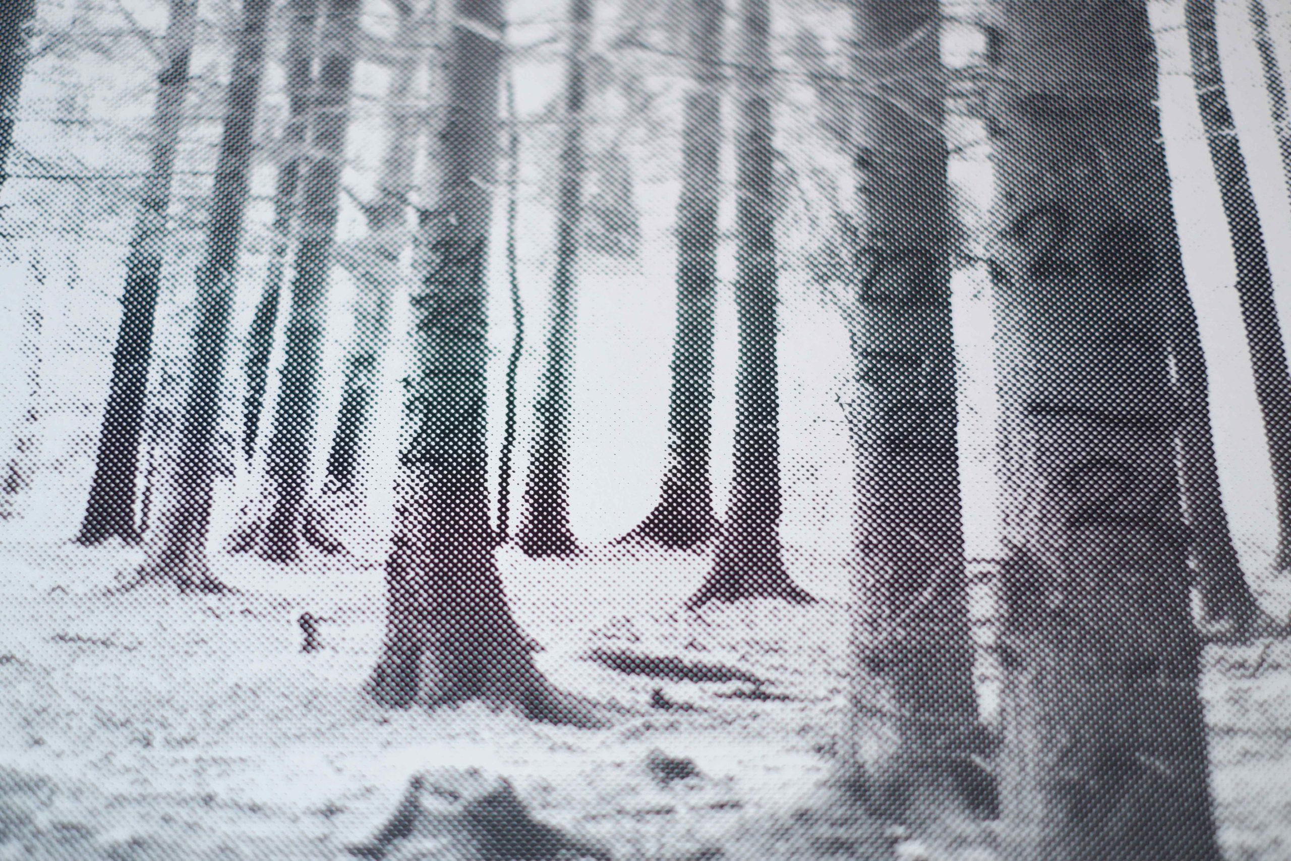 DSCF3904-1